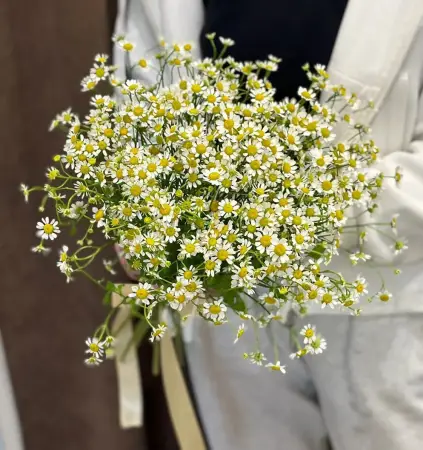 Букет из полевых ромашек