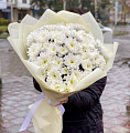 Белые кустовые хризантемы Белые кустовые хризантемы