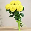 Желтые хризантемы