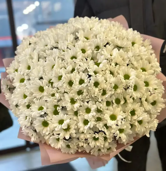 Ромашковое облако